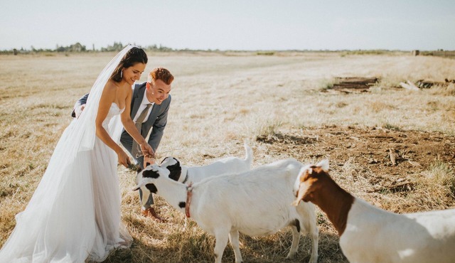 Country Cottage With View Close To UC Davis