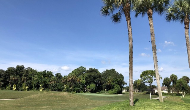 Country Creek - Charming and Light Corner Condo with Golf !
