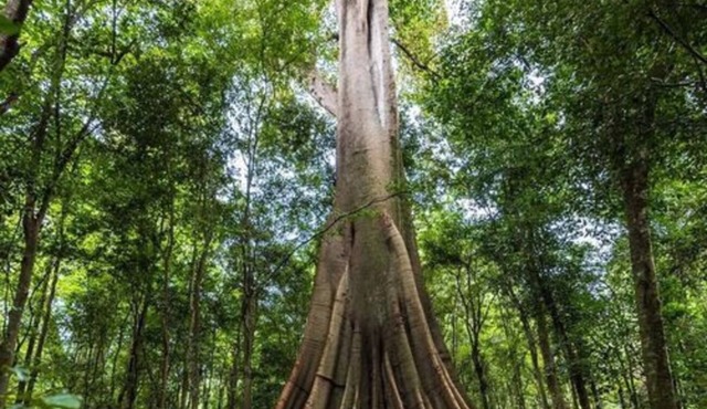 Country Escape by Tiny Away