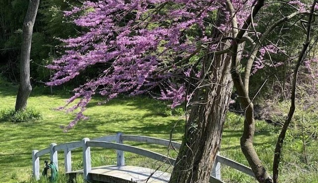 Country Estate in Historic District