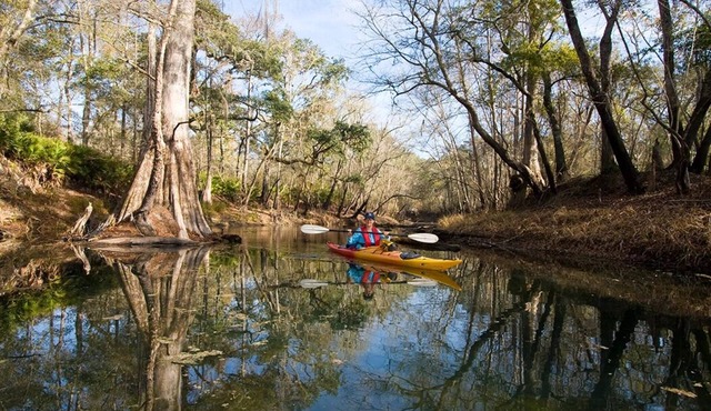 Country Estate Villa, Private Pool, 30min to Beach