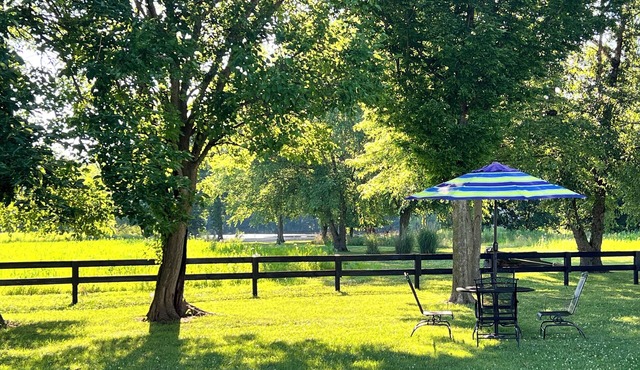 Country Farmhouse with Private Fishing & Swimming Pond, Walking Trails & Gardens