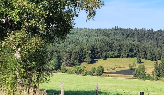 Country property in the heart of the farm, 8 people Label Accueil Paysan