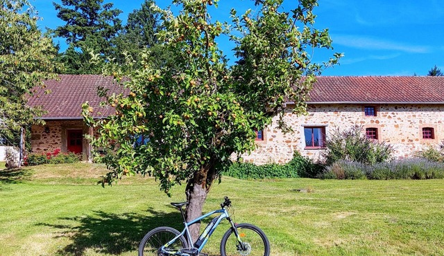 Country house in Périgord Vert with private games room and swimming pool