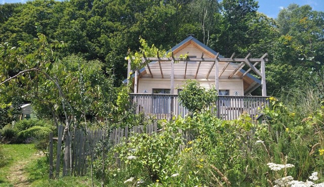 Country cottage on the edge of a forest