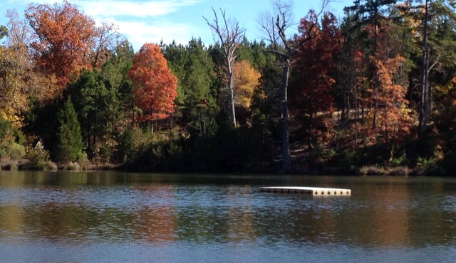 Country Get Away Cabin In The East Texas Piney Woods