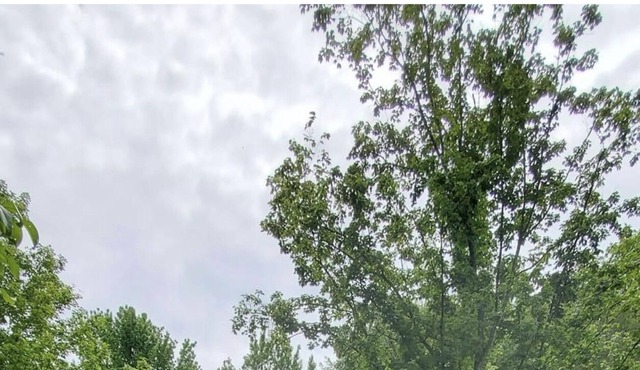 Country getaway minutes from Nashville