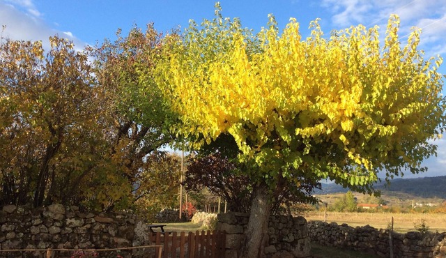 country holiday home - Colombier le vieux