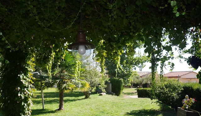 Country holiday home - Salas Altas