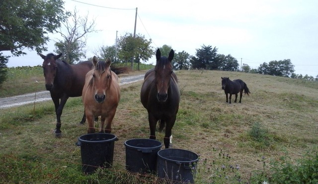 Country holidays at Gites Soulanserre