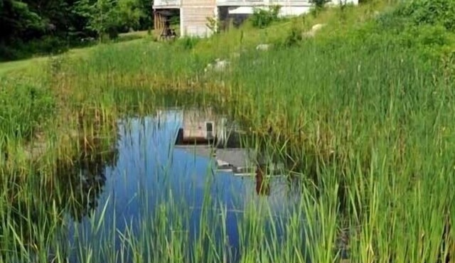 Country home 5 bdrs, 6 baths, yoga/art studio, large garden near wineries +beach