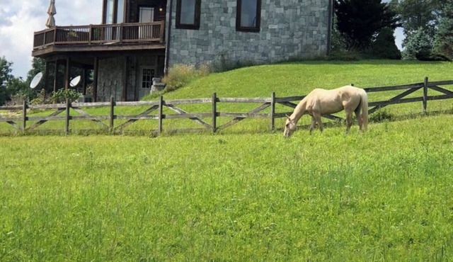 Country home, Beautiful country home with horses