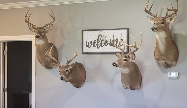 Country home getaway; great for nature lovers!