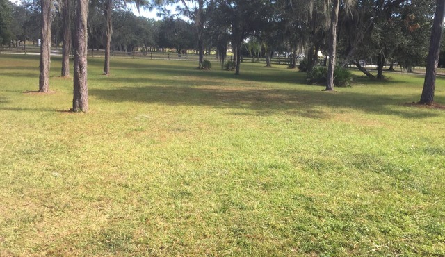 Country Home Horse Lovers Paradise