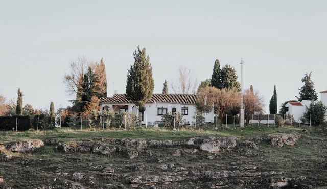 Country home in Dosbarrios, Toledo