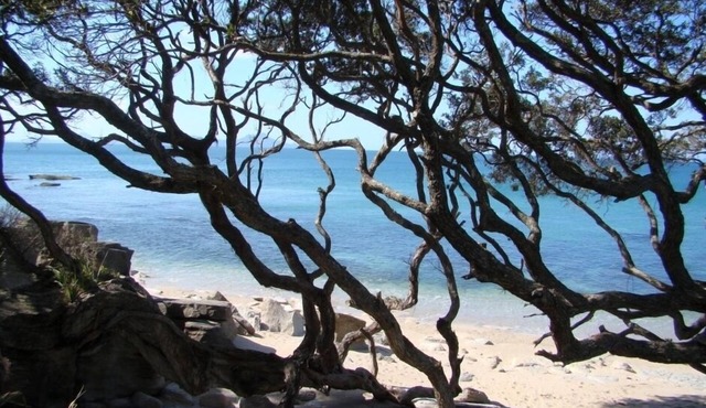 Country Homestead at Black Sheep Farm, B&B