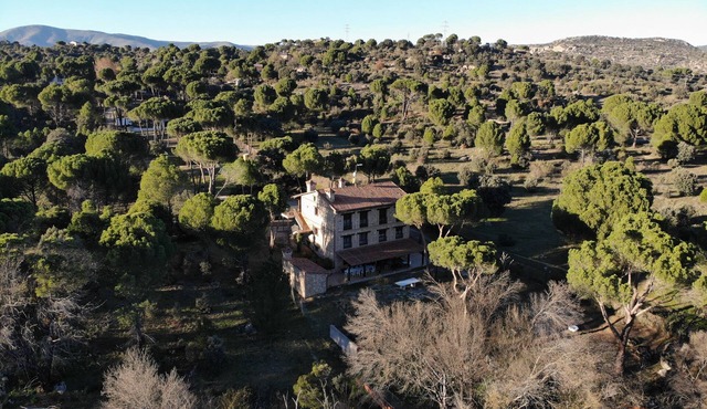 Country House 5000sqm · Pool · Paddel · Bbq · 1h f/Madrid-ávila-toledo · 16pax
