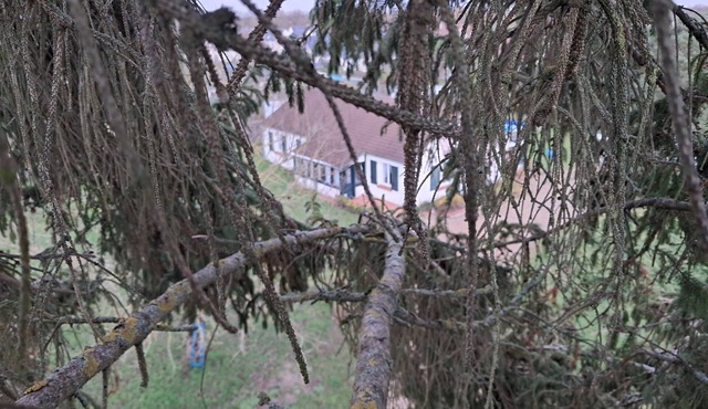 Country house between Sologne and Gâtinais