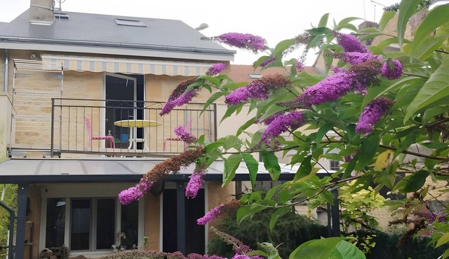Country House “Boulzicourt 08410” with Shared Terrace, Garden, and Wi-Fi