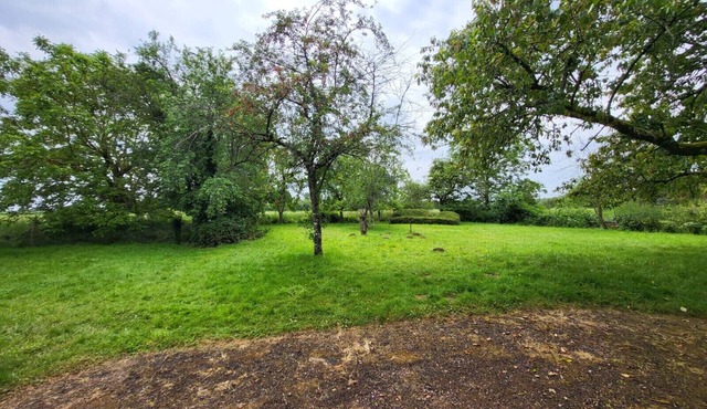 Country house close to the forest, peaceful, 6p