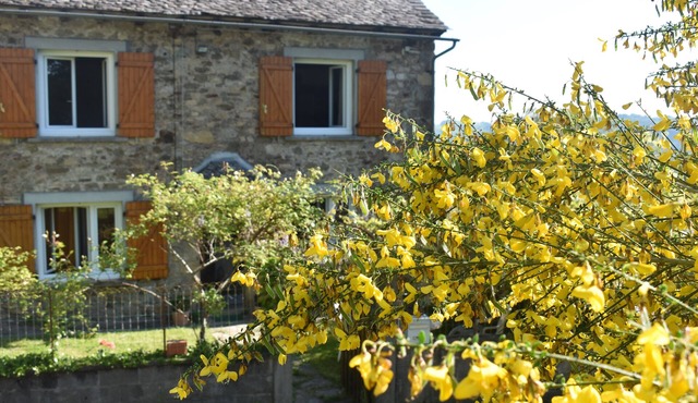 Country house
