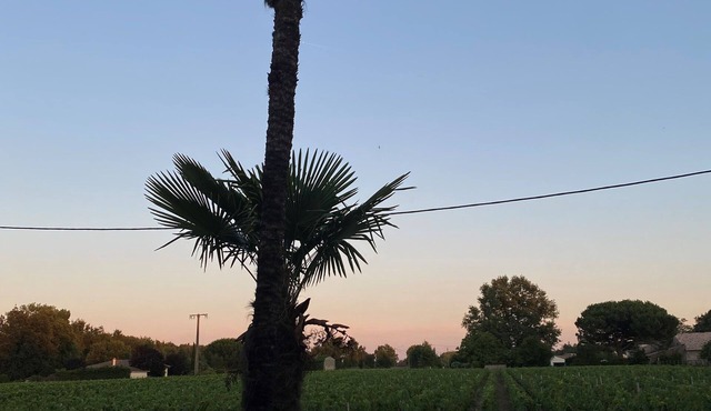 Country house in the heart of the Médoc vineyards with a spa!