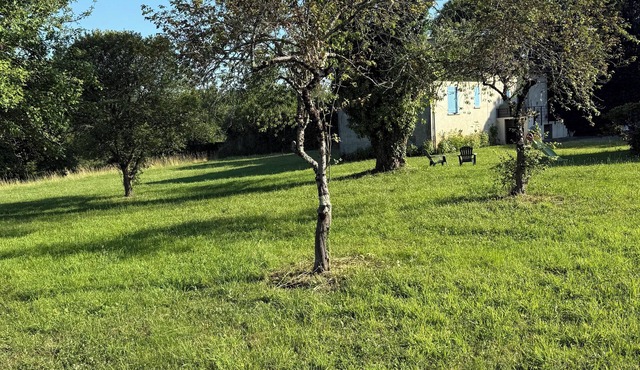 Country house in the heart of the Périgord Vert. Enjoy the peace and quiet of the garden