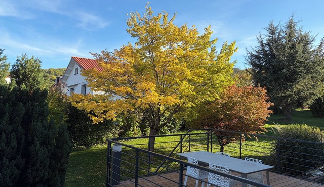 Country house in the heart of the Parc des Volcan, 10 minutes from Clermont-Ferrand