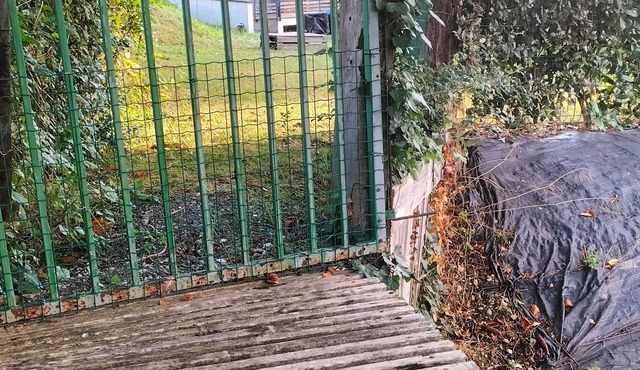 Country house near a wood. View of the Pyrenees just a few steps away