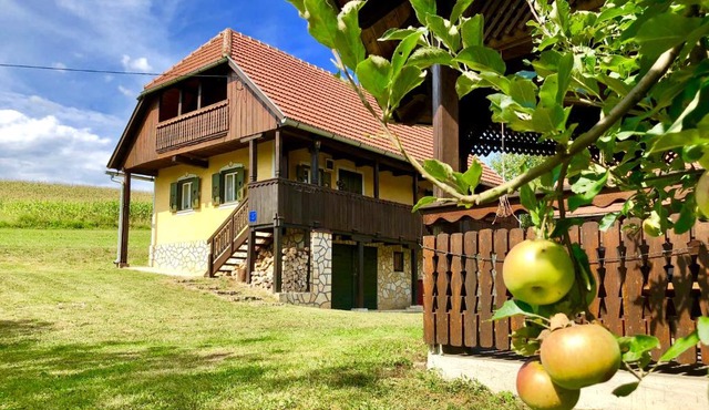 Country House Novosel 1907