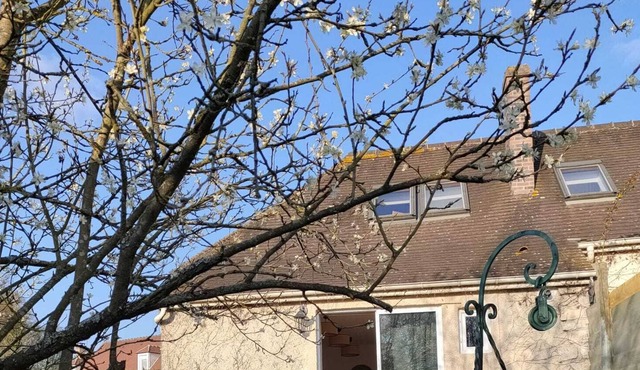 Country house, quiet, with sunny garden, 1 hour from Paris.