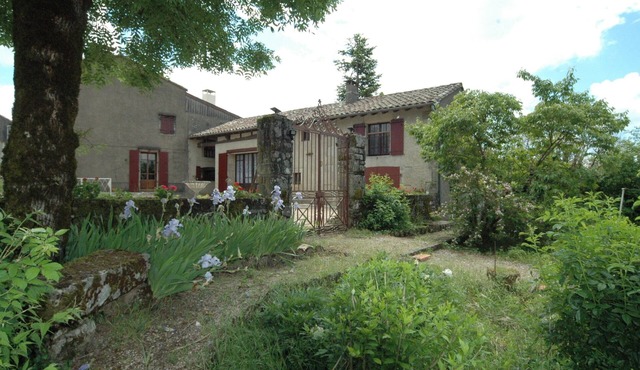 Country house to share with your family and pets.