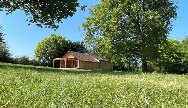 Country house with ponds