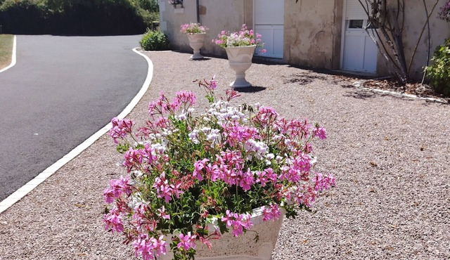 Country house with garden, trampoline and petanque between Valençay and Beauval