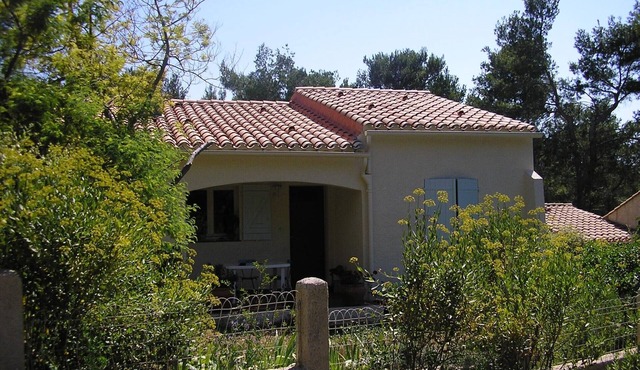 Country house with garden and pine- wood