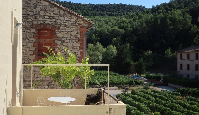 Country house with views in lovely quiet valley near wine village of Gigondas