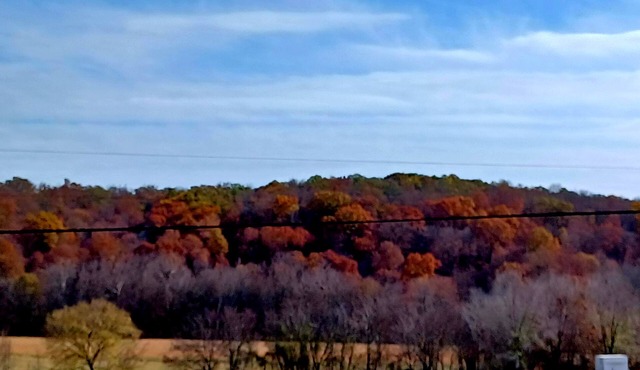 Country Inn Cottage & Farm. Private cottage with three personal suites.