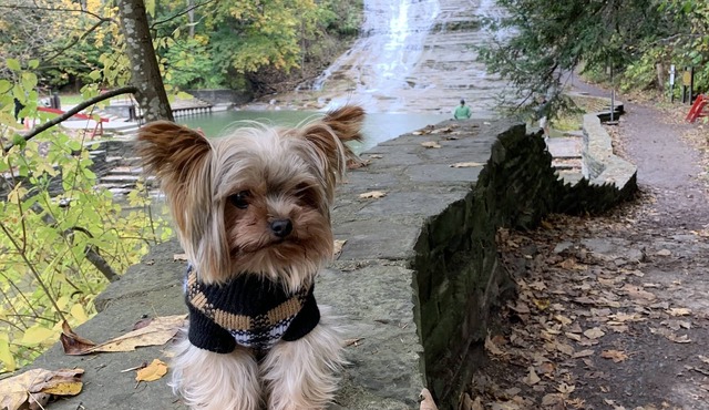 Country Inn & Suites by Radisson, Ithaca, NY