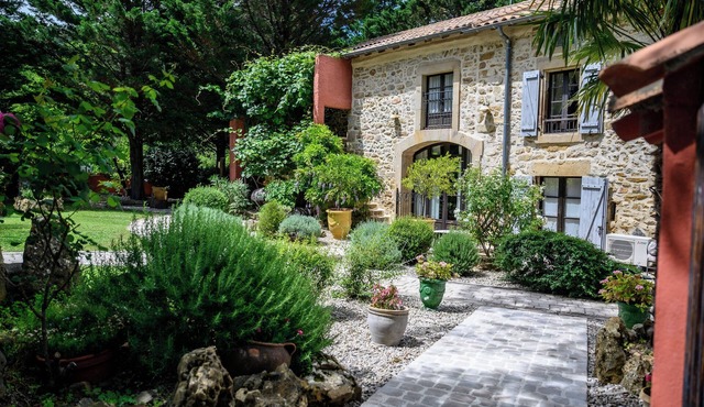 Country Kids Resort - All Inclusive