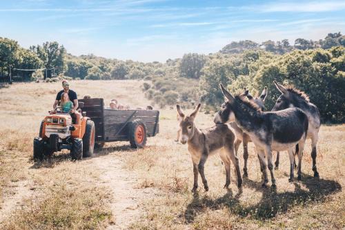 Country Kids Resort - Family Holidays France