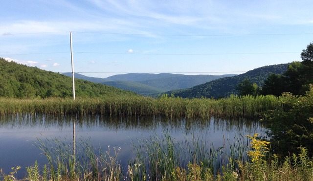 Country Life Camping
