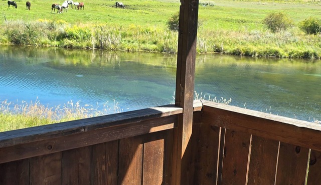 Country Living 6 miles from Colville, easy access, on a beautiful large pond!