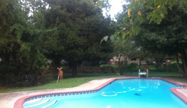 Country Living, with City Convenience