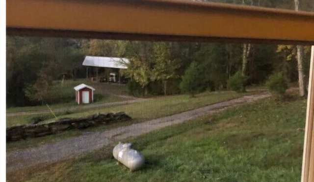 Country Paradise