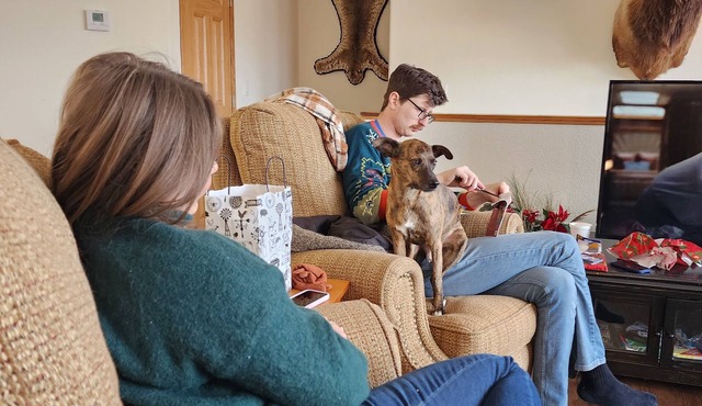 Country Peace And Quiet - Perfect for reunions, retreats and more. Pet friendly