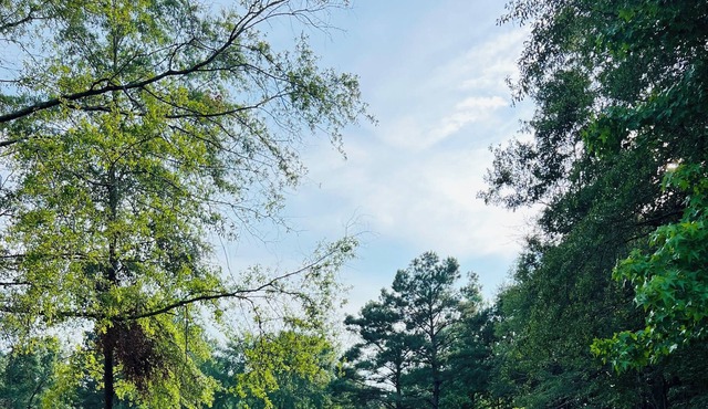 Country Peace Boondocking