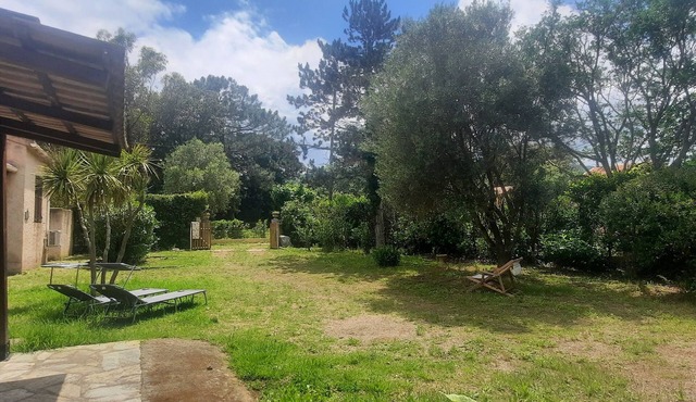 Country property on the sea