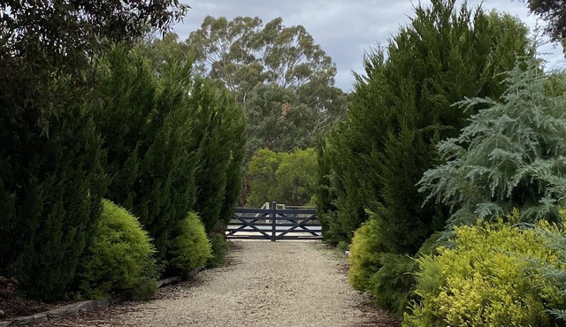 Country retreat 4 bedroom on an acre of lush gardens luxury outdoor area.