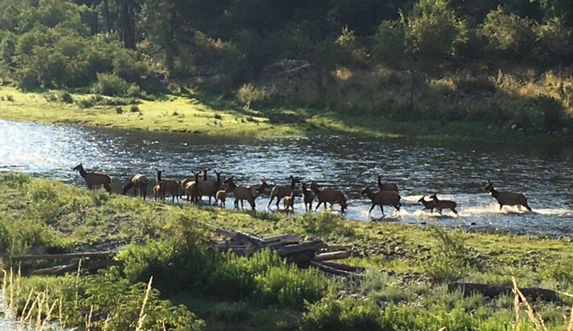 Country retreat with Mountain View’s and pool World class fishing and hunting