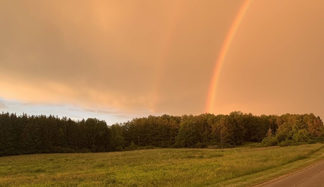 Country Road Take Me Home!